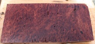 jarrah small.jpg