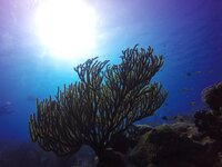 G0072067 (2) (Copy).jpg