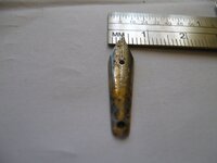 IMG_0035.jpg