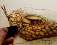 RattlesnakeMarkisonPyrography,2016.jpg