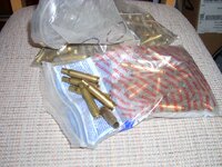 shells.jpg