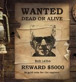 wanted poster.jpg