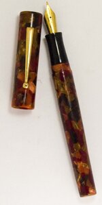 Autumn Cebloplast Fountain Pen_2.jpg