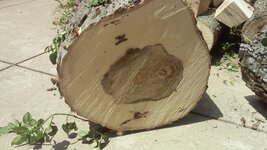 20160716_143756.jpg