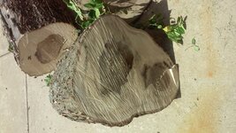 20160716_143747.jpg 20160716_143747.jpg