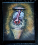 Mandrill,markison,2016,800px.jpg