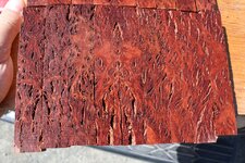 jarrah burl small.jpg