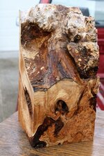 maple burl block 1.jpg