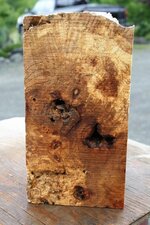 maple burl 3.jpg