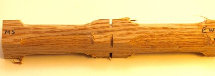 IMG_2609.jpg