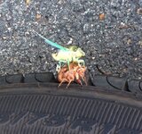 image.jpeg