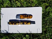 20160911_131134.jpg