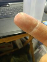 CA_finger04.JPG