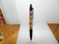 DSCN2095.jpg