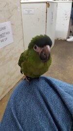 20160919_133332.jpg