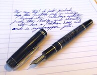 pelikan.jpg