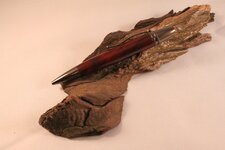 IMG_6339.jpg