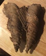 IMG_1692.jpg