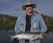 striper.jpg