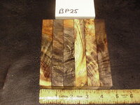 bp25a.JPG