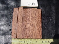 rp81a.JPG rp81a.JPG