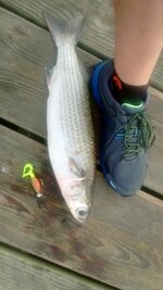 IMG_20161118_071327824.jpg