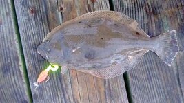 IMG_20161118_072850454.jpg