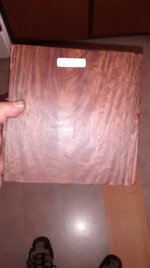 cocobolo.jpg