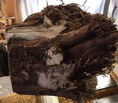 root3.jpg