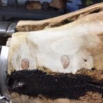 root5.jpg