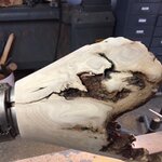 root7.jpg