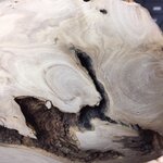 root8.jpg
