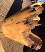 root9a.jpg