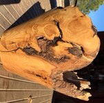 root9b.jpg