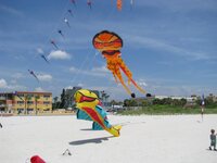 IMG_2994.jpg