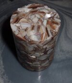 abalone.jpg