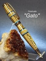 GRADUATE-GATO - 170 kb.JPG