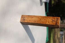 DSC_2388.jpg