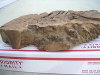 DSCN9859.jpg