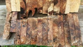 20170115_122654.jpg