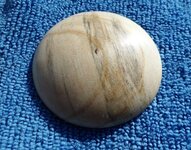 Redwood Sequoia.jpg