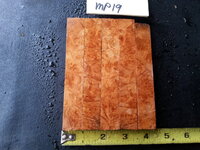 mp19a.jpg mp19a.jpg