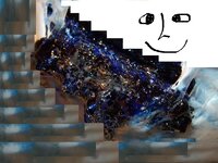 003.JPG