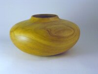 hollow form apple (2) - Copy.JPG