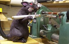 SmokinRat.jpg