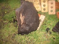bog oak burl 003.jpg