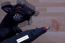RatVibe.JPG