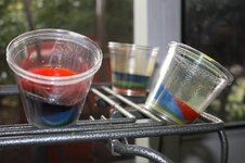 IMG_0569.jpg