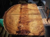 timber preparation 276_(1).jpg