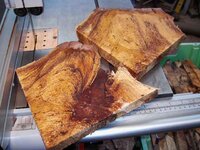 timber preparation 279_(1).jpg